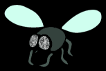 FLY_B.gif (10740 bytes)