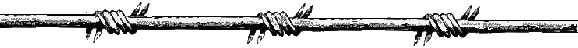 f_farpa.gif (5138 bytes)