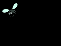 FLY_T.gif (8354 bytes)